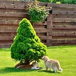 Semesterbostad Sea Ezerets